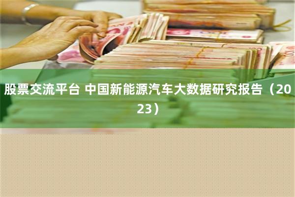 股票交流平台 中国新能源汽车大数据研究报告（2023）