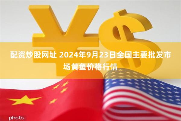 配资炒股网址 2024年9月23日全国主要批发市场黄鱼价格行情