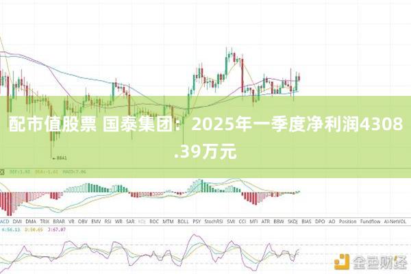配市值股票 国泰集团：2025年一季度净利润4308.39万元