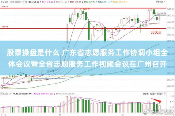股票操盘是什么 广东省志愿服务工作协调小组全体会议暨全省志愿服务工作视频会议在广州召开