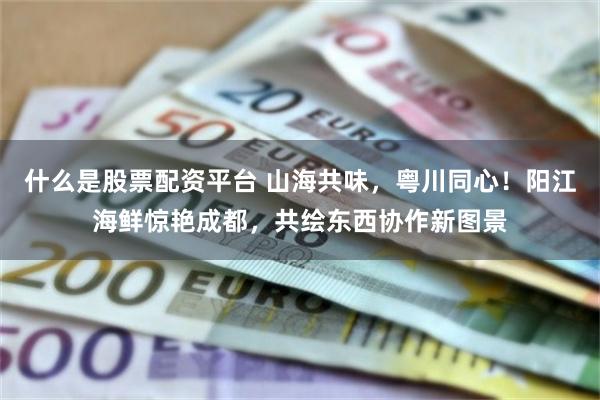 什么是股票配资平台 山海共味，粤川同心！阳江海鲜惊艳成都，共绘东西协作新图景