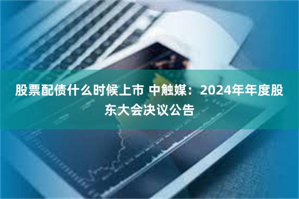 股票配债什么时候上市 中触媒：2024年年度股东大会决议公告