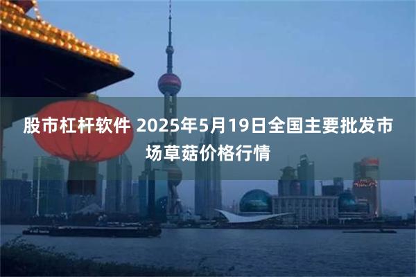 股市杠杆软件 2025年5月19日全国主要批发市场草菇价格行情