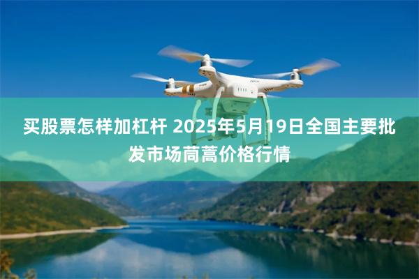 买股票怎样加杠杆 2025年5月19日全国主要批发市场茼蒿价格行情