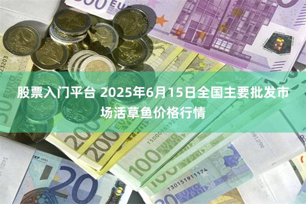 股票入门平台 2025年6月15日全国主要批发市场活草鱼价格行情