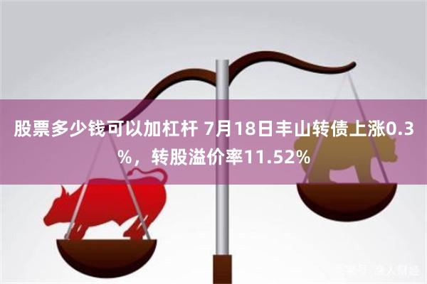 股票多少钱可以加杠杆 7月18日丰山转债上涨0.3%，转股溢价率11.52%