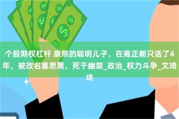 个股期权杠杆 康熙的聪明儿子，在雍正朝只活了4年，被改名塞思黑，死于幽禁_政治_权力斗争_文琦