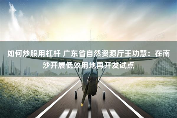 如何炒股用杠杆 广东省自然资源厅王功慧：在南沙开展低效用地再开发试点