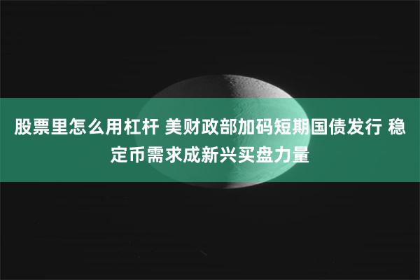 股票里怎么用杠杆 美财政部加码短期国债发行 稳定币需求成新兴买盘力量